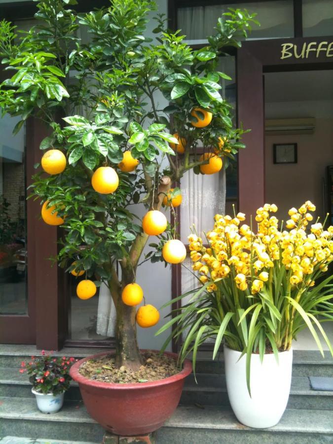 Thien Anh Hotel Hai Phong Exteriér fotografie